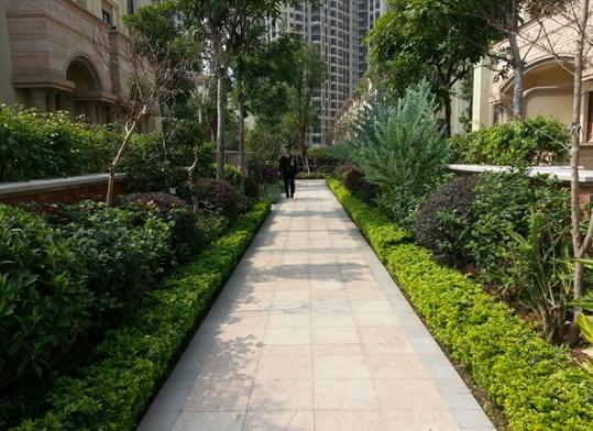 笔直园路之园林绿化模式可定位为高档规则绿地