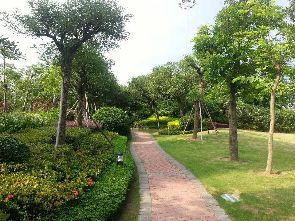深圳园林设计