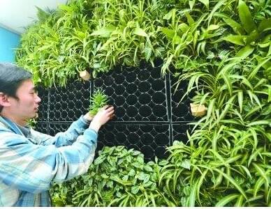 园林绿化