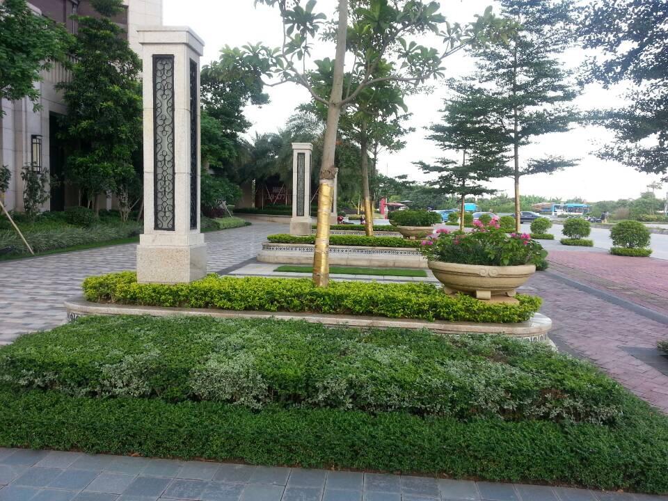 深圳园林公司