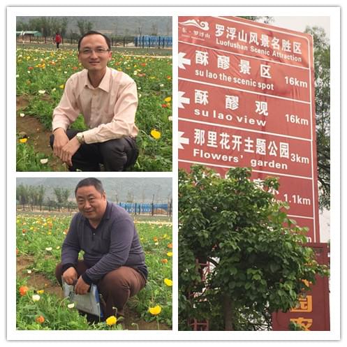 深圳园林工程公司 深圳园林工程公司