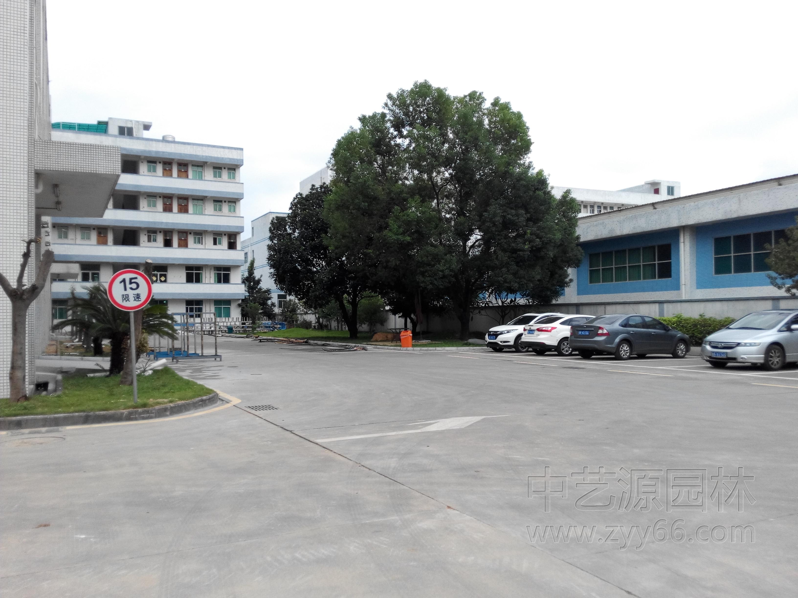 深圳园林景观公司