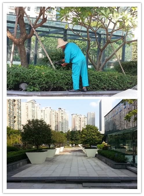 深圳园林景观公司