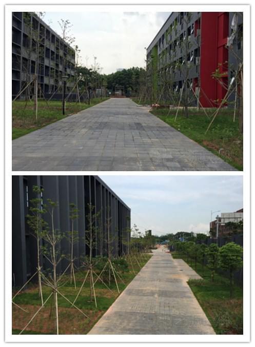 深圳园林景观公司