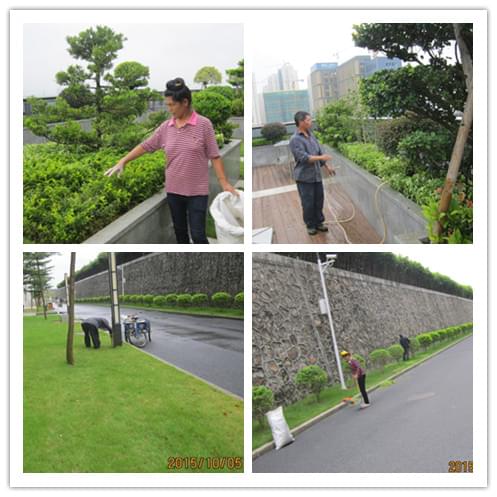 深圳绿化公司
