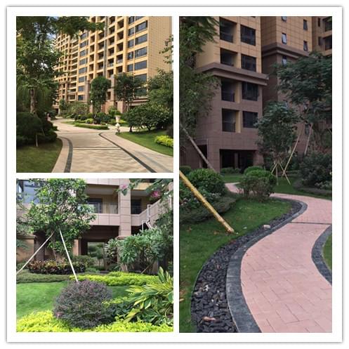 深圳绿化工程公司 深圳绿化工程公司