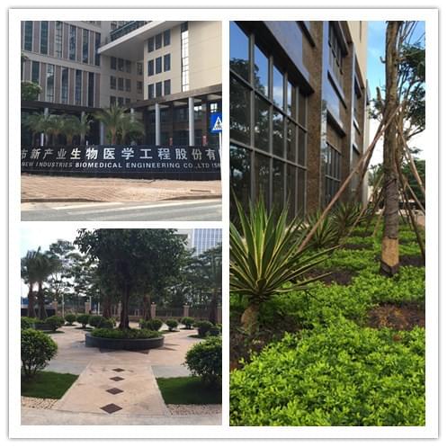 深圳园林公司