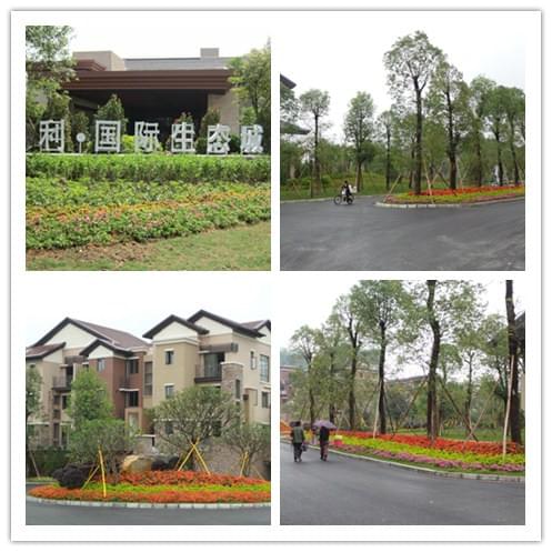 深圳园林公司