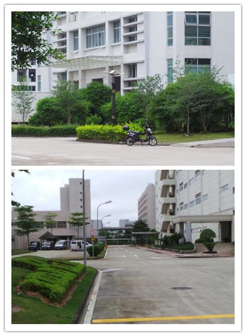 深圳绿化工程公司
