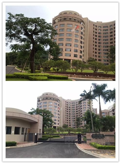 深圳市园林绿化公司