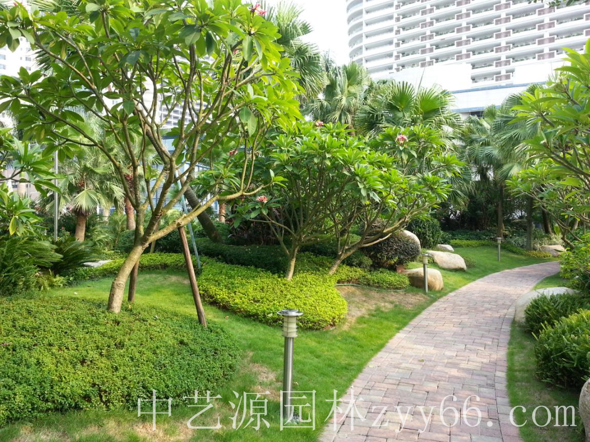 园林景观施工