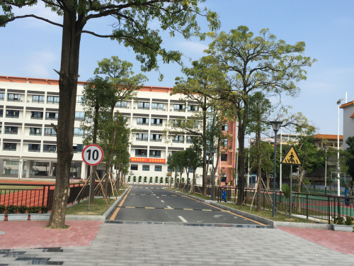 学校园林绿化