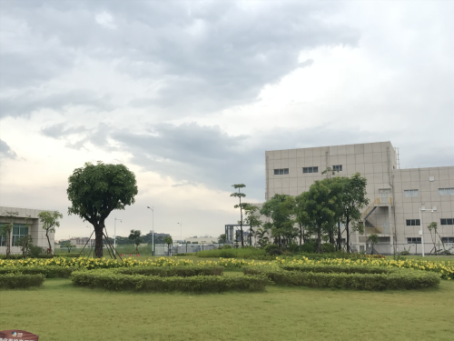 厂区绿化
