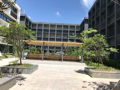 学校园林绿化