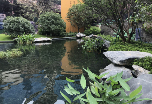 厂区绿化