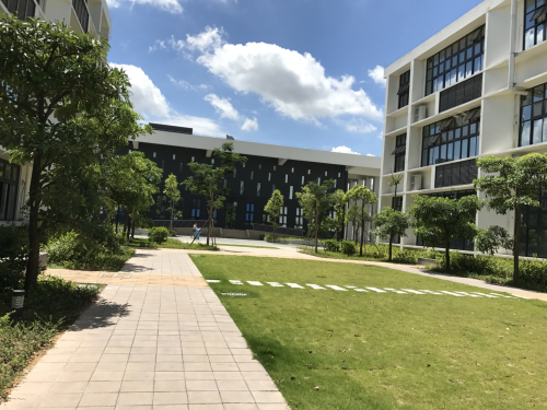 学校园林绿化