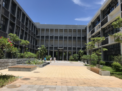 学校园林绿化