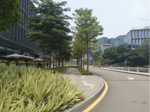 道路绿化工程