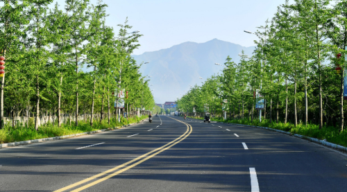 道路绿化工程