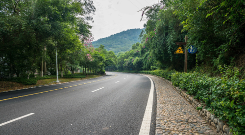道路绿化工程