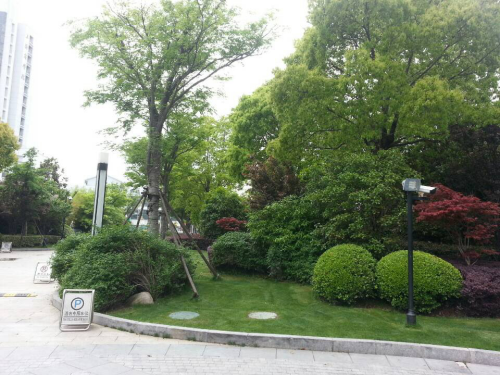 园林绿化养护