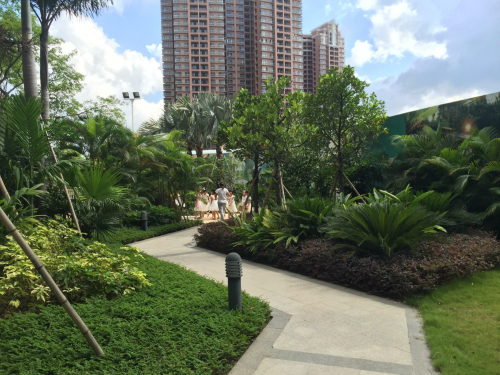 庭院园林景观