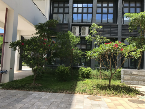 庭院景观绿化