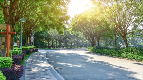 道路绿化工程