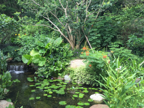 庭院园林景观