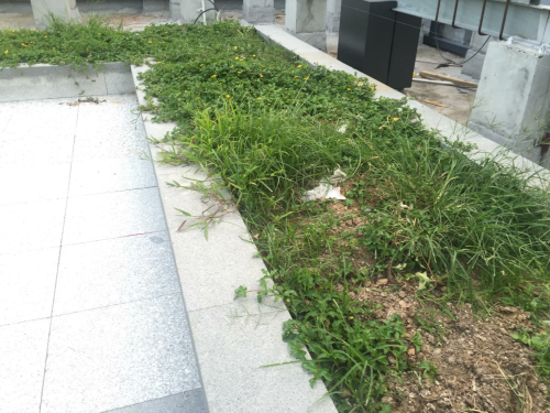 园林景观施工