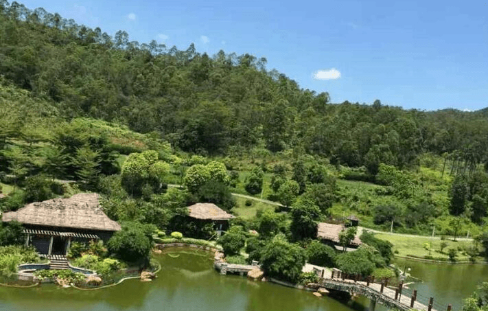 惠州园林绿化之罗浮山哪里花开水景工程