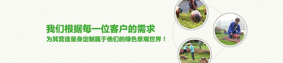 中艺源量身定制绿色景观世界
