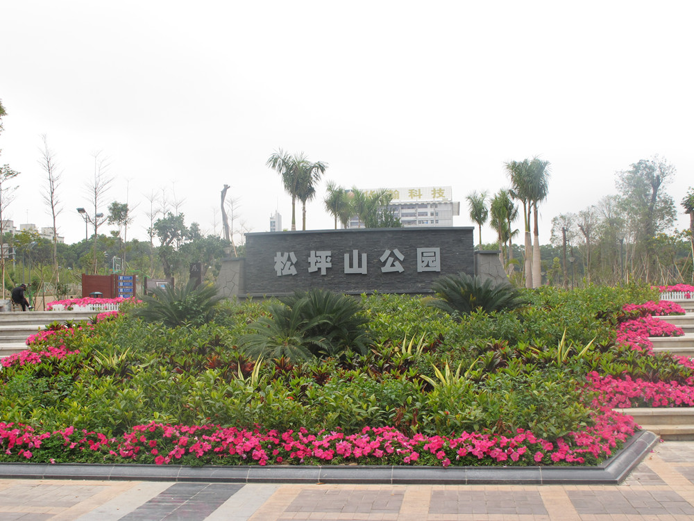 深圳南山松坪山公园园林绿化